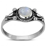 R473RMS 2.5 x 8.5 02.jpg